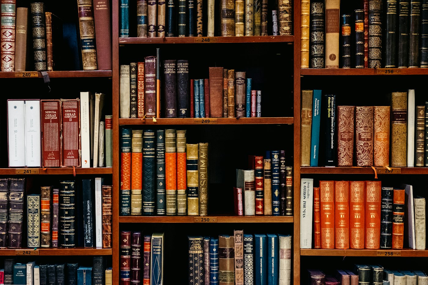 Libros antiguos en estantes de madera